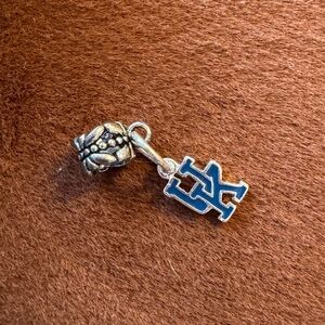 💙 UK Kentucky Wildcats Silver and Blue Charm